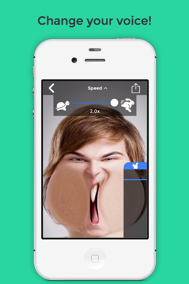BendyBooth Chipmunk - Funny Face+Voice Video App screenshot 2