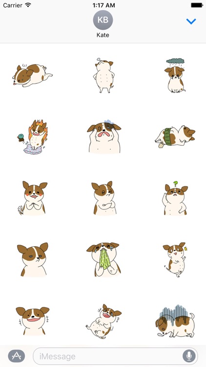 Very Cute Fat Chihuahua Dog Stickers Pack