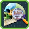Anatomy Word Search- Medical Terms Game