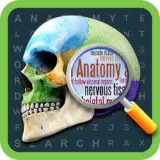 Activities of Anatomy Word Search- Medical Terms Game