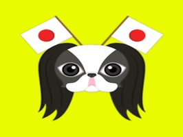 Are you a Japanese Chin puppy lover