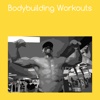 Bodybuilding workouts+