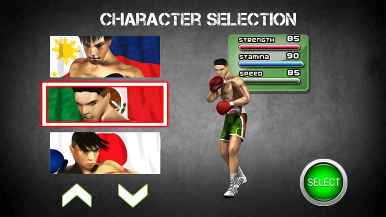 Fists For Fighting Fx3 screenshot-4