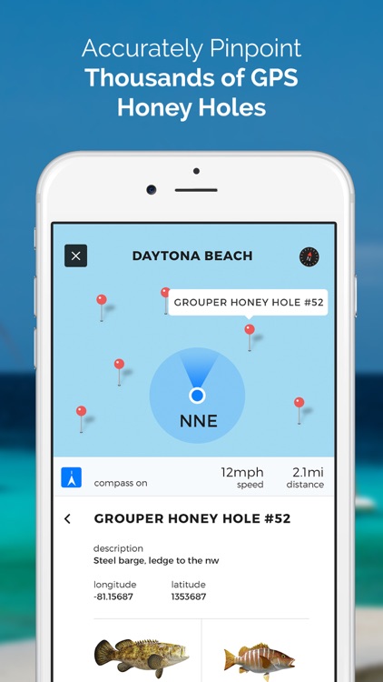 Pro Angler - Fishing Reports & Fish Guide