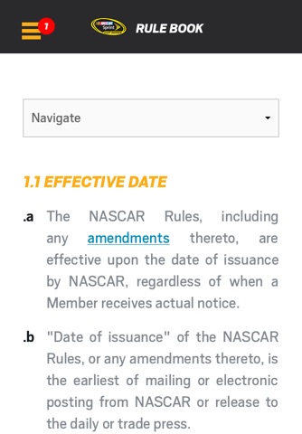 NASCAR Rules screenshot 4