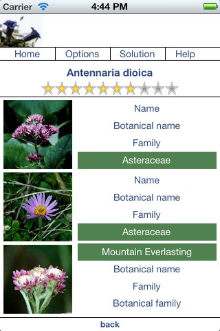 Die bunte Welt der Alpenblumen screenshot 2