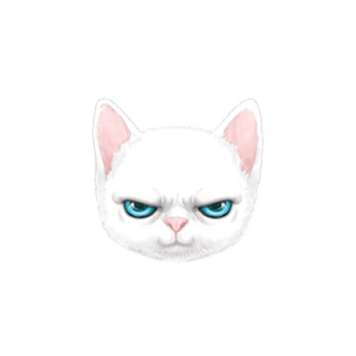 Grumpy Kitty - Lovely Cat Stickers
