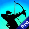 Best Bow and Arrow Pro