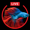 Aquarium Live HD Wallpapers for Lock Screen - Fexy Apps