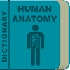 Human Anatomy Dictionary Offline