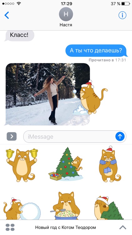 Новый год с Котом Теодором