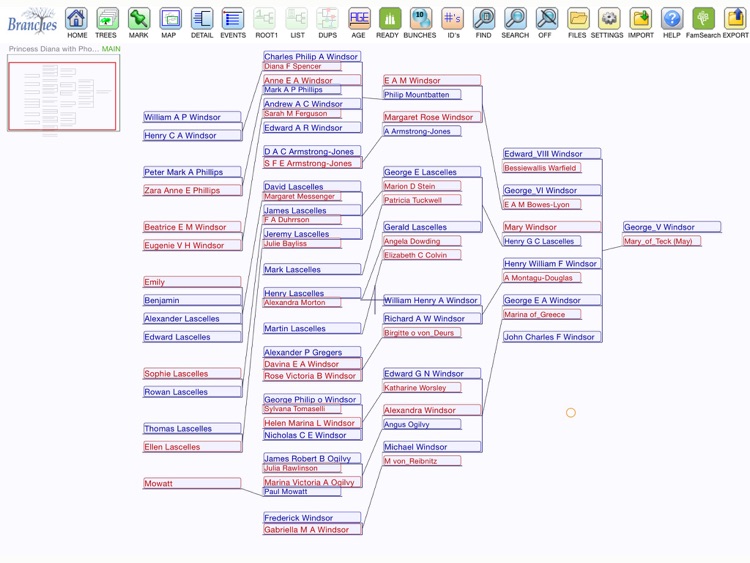 Branches Pro for iPad