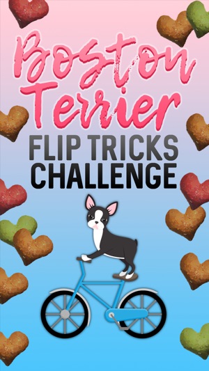 Boston Terrier Flip Tricks Challenge(圖1)-速報App