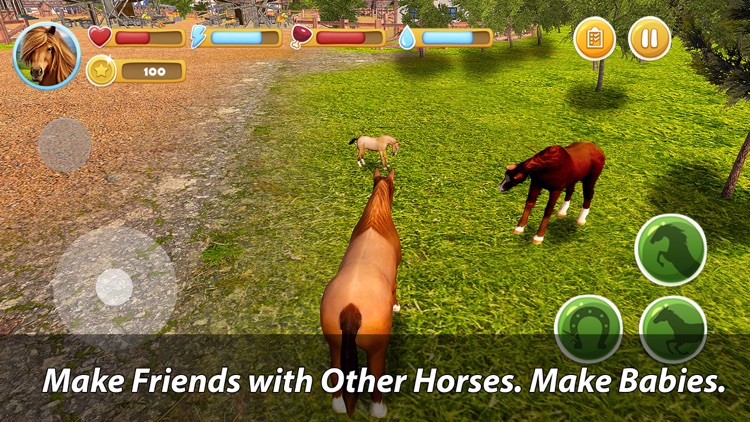 Magic Horse Quest Full