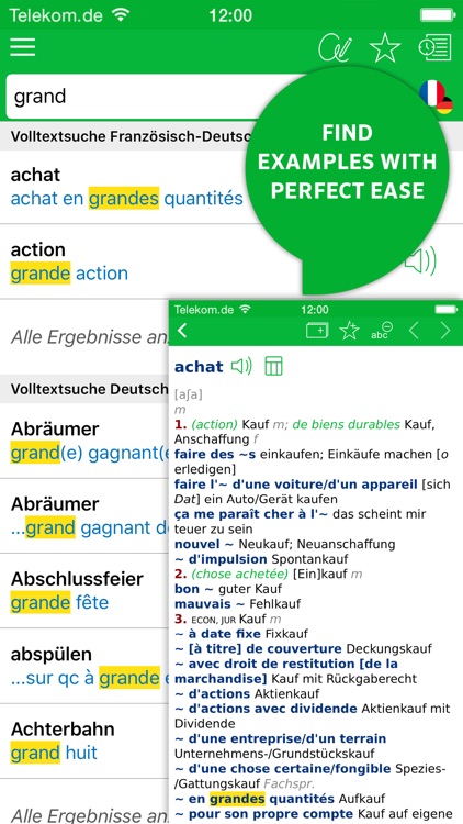 Dictionary French - German ADVANCED by PONS