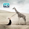 Funny & Creative Wallpapers & Backgrounds Themes