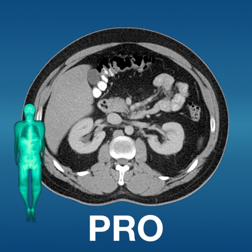 X-Anatomy Pro