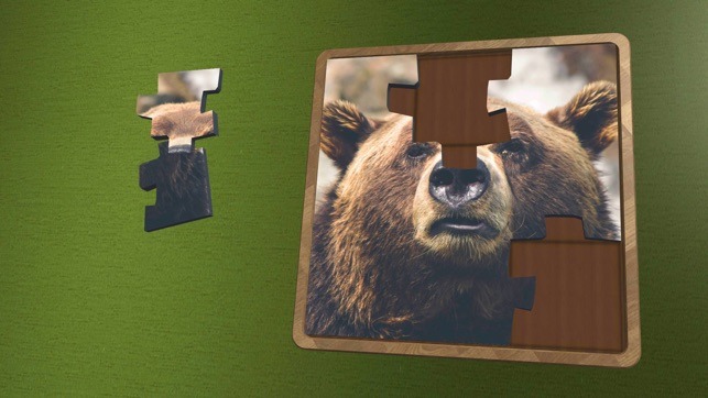 Super Jigsaws Wildlife(圖2)-速報App