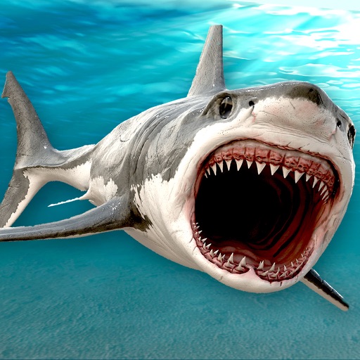 Killer Jaws Shark: Hungry Hunter HD icon