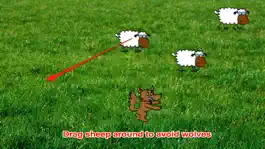 Game screenshot Awesome Wolf vs Small Sheep apk