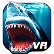 Activities of VR Shark