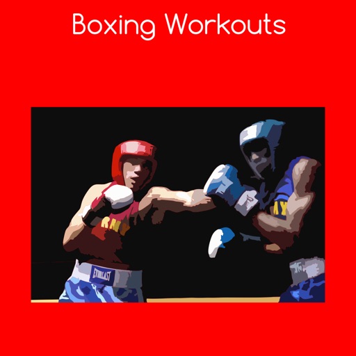 Boxing workouts icon