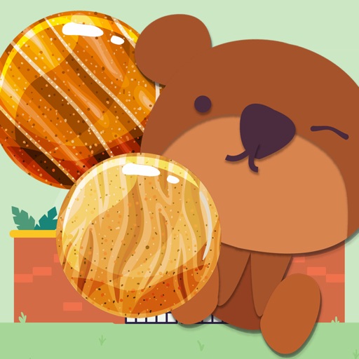 Bear Honey Ball Shooting for Kids Icon