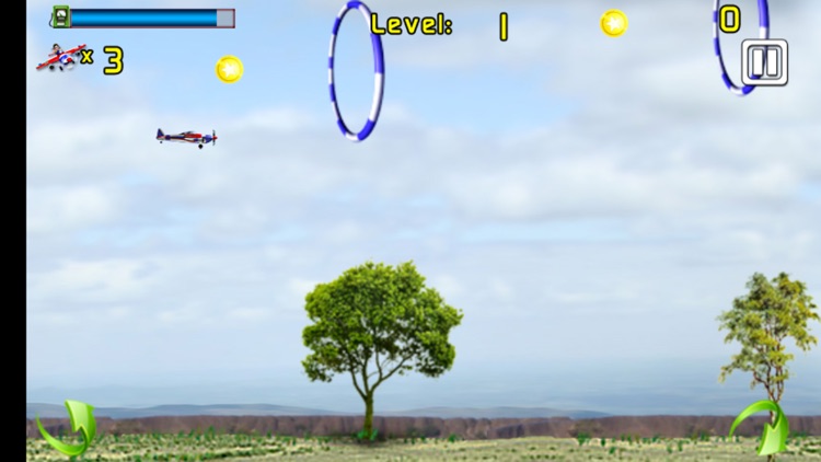 Ring Pilot - Fancy Flight Simulation Game screenshot-3