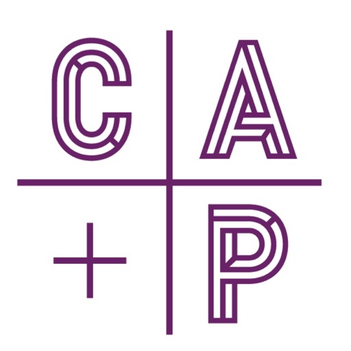 City Arts and Prep Charter icon