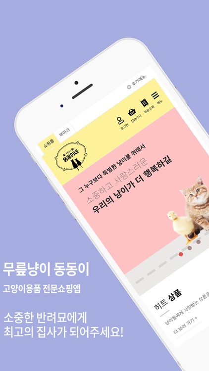 무릎냥이 동동이네