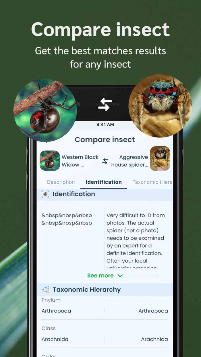 Bug ID insect identification