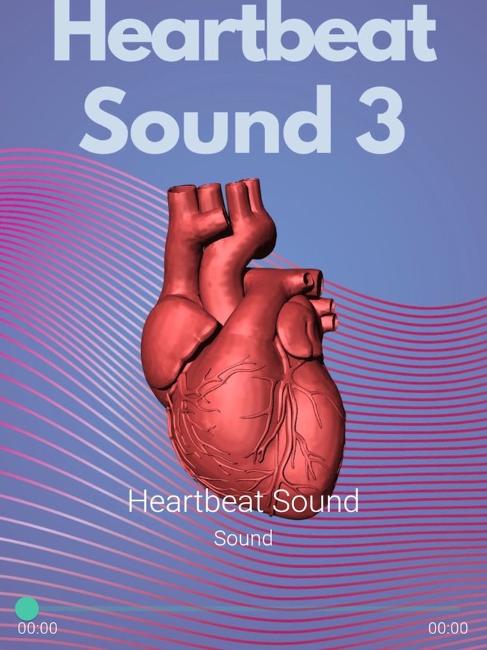 Heartbeat Sounds Pro