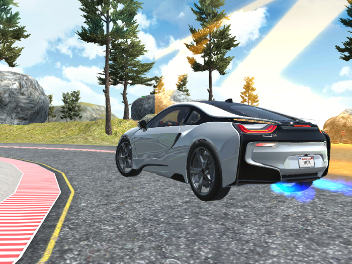 Extreme Car Racing Sim