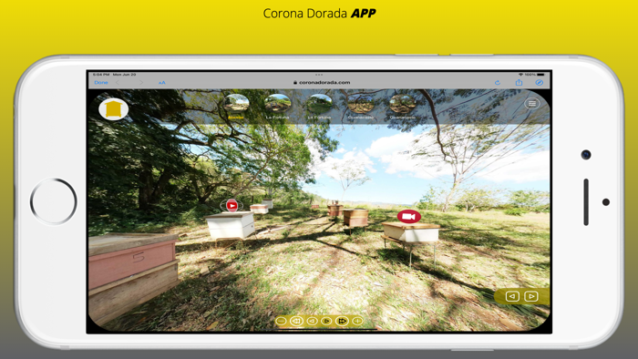 Corona Dorada APP