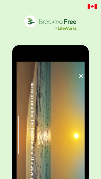 Breaking Free Companion Canada screenshot-4