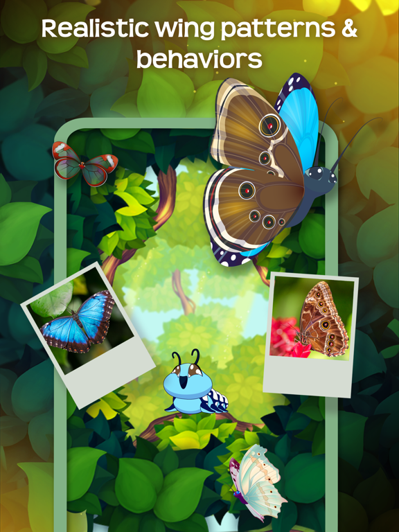 Flutter: Butterfly Sanctuary screenshot 3