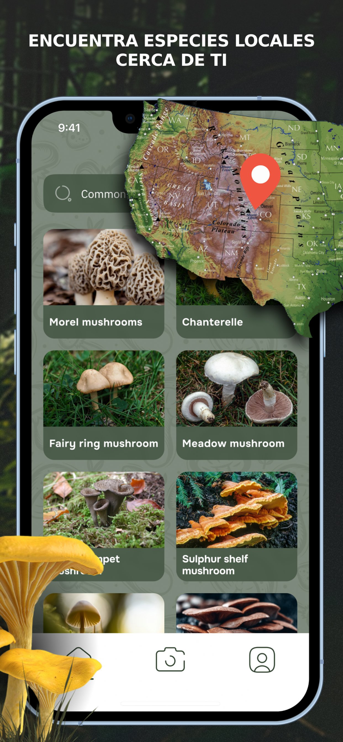 Mushroom Identification ID App