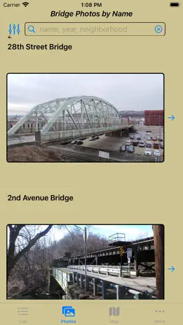 Game screenshot Pittsburgh City Bridges hack