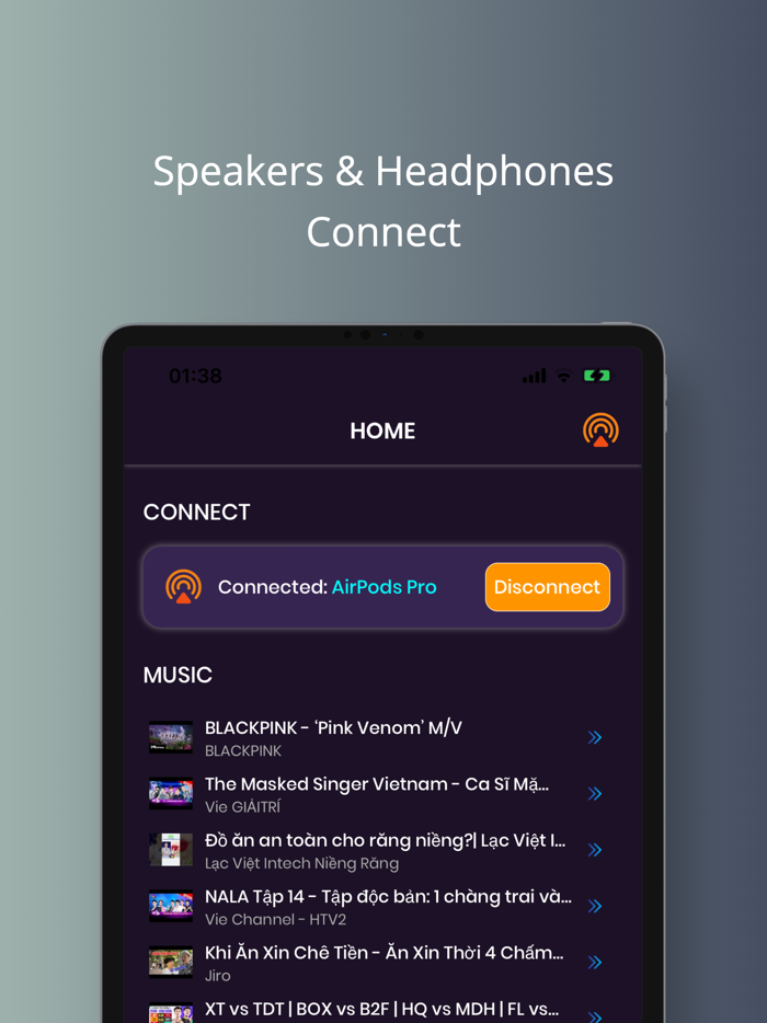 Connect Speaker  Headphone