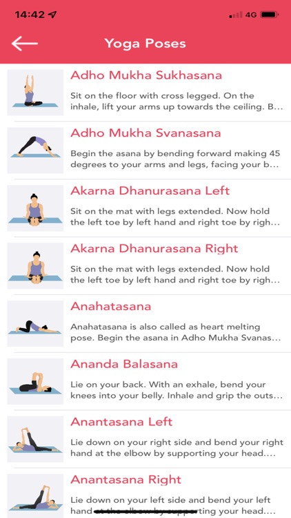 Yoga Workout- Personal Trainer