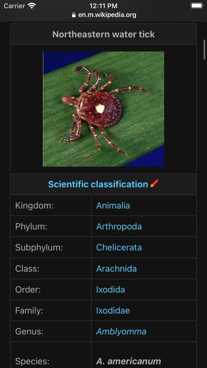 Tick Identifier