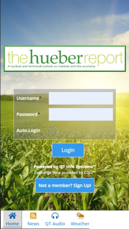 the hueber report