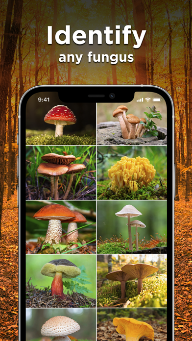 Mushroom ID: Fungus Identifier screenshot 2