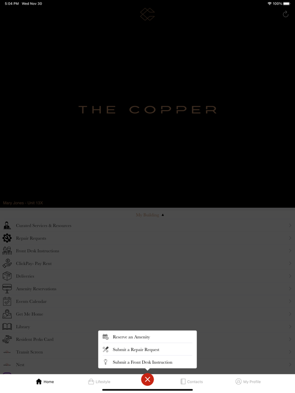 The Copper screenshot 3