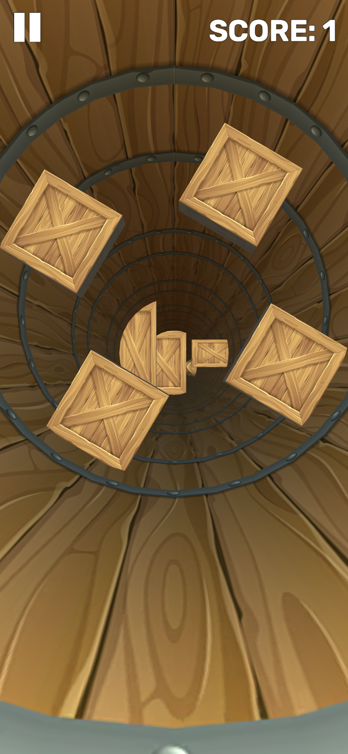 Tunnel Runner - Wood Go Puzzle