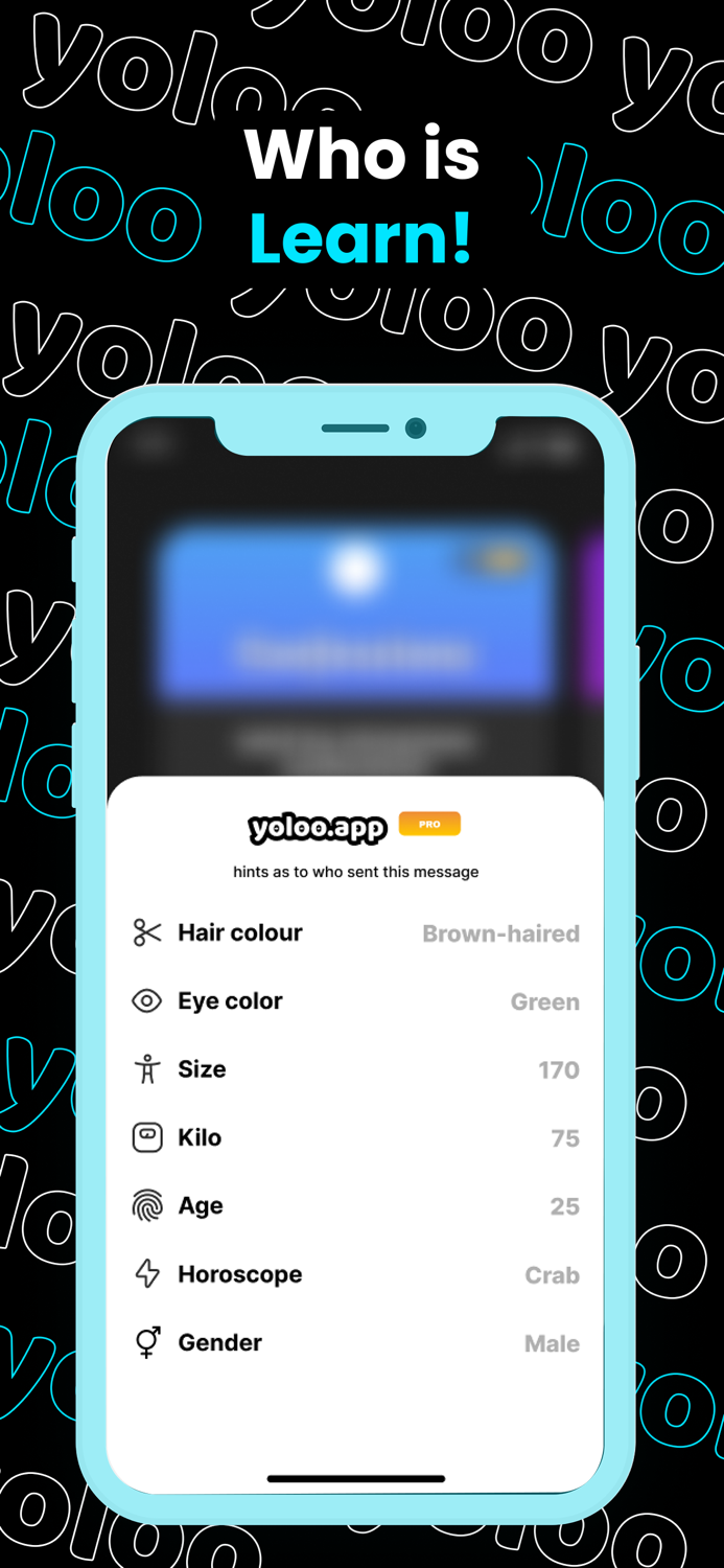yolo - IG Stories qa