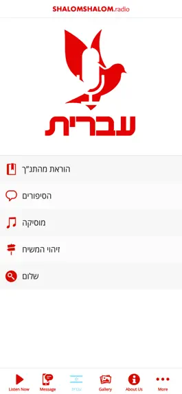 Game screenshot ShalomShalom.radio apk