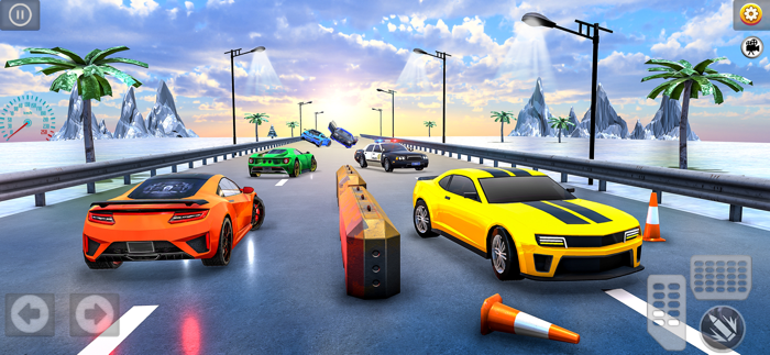 Police Chase Endless Highway