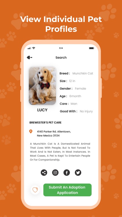 Lucky Paw screenshot-5