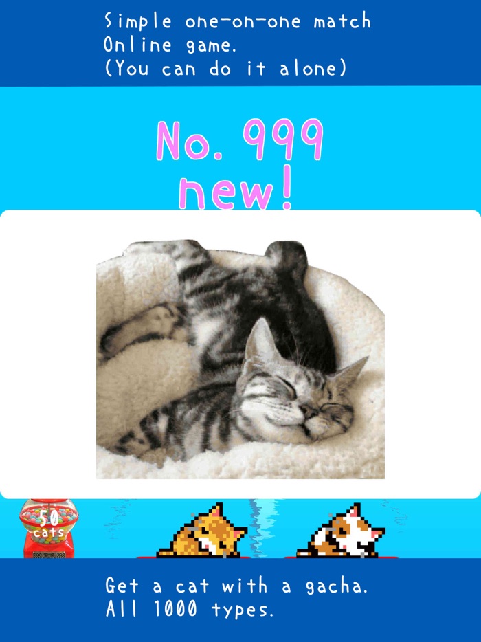 Cat tower ship - online match